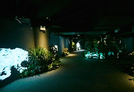 1609919853296638.gif
