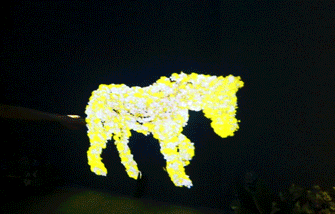 1609924333888830.gif