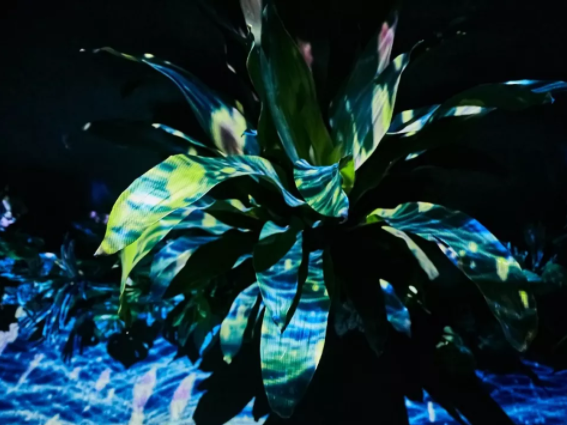 1609925138131866.png