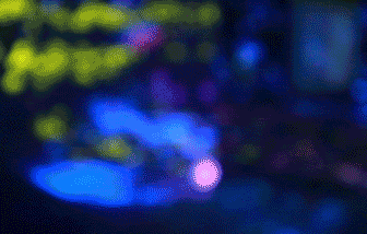 1609925197294744.gif