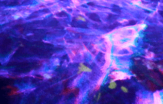 1609925407116002.gif