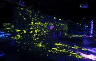 1609926172767354.gif