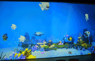 1609926317417216.gif