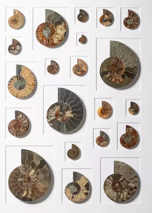 1610010228411657.png