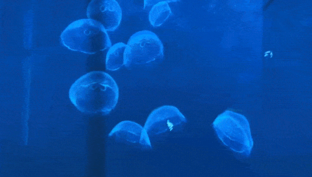 1610011040866090.png